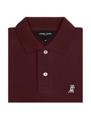 Men's Regular Fit Polo Shirt - Cabaret A11