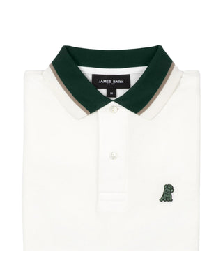 Men's Contrast Neck Lines Detail Polo Shirt - Star White A224