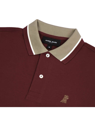 Men's Contrast Neck Lines Detail Polo Shirt - Cabaret A228