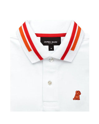 Long Sleeve Striped Polo Shirt - White A206